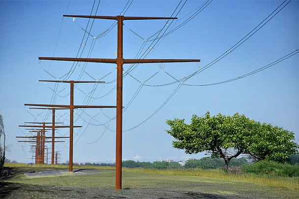 Image outdoors showing an array of utility poles going off into the distance in a rural area.